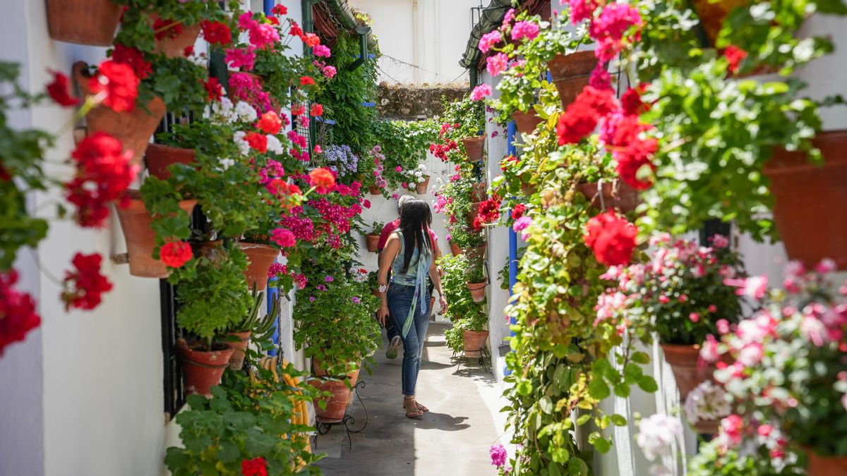 Marroquíes, 6, segundo premio en Patios Singulares en 2026