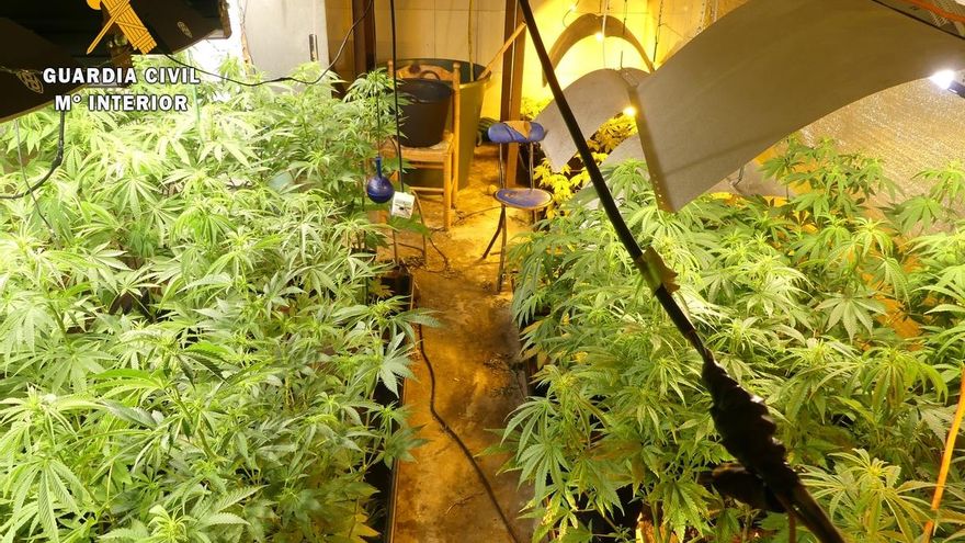 Dos detenidos y dos investigados por sendas plantaciones de marihuana en Hinojeo y Castro