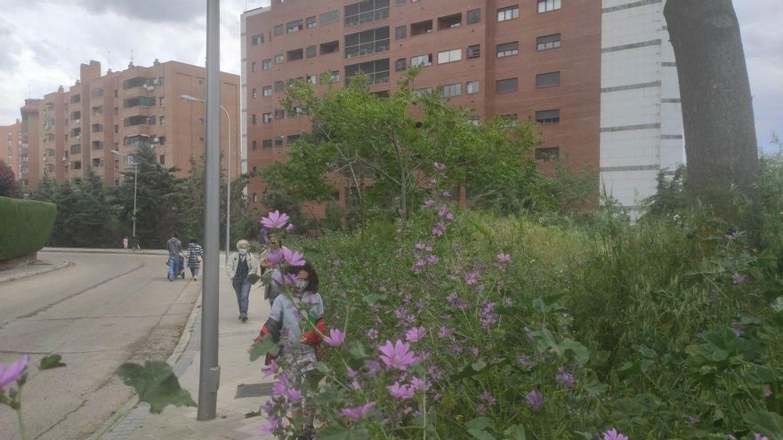Nunca se nos hubiera ocurrido pensar que las lindes vegetales del camino señalaban, en realidad, el curvilineo trazado de la acequia