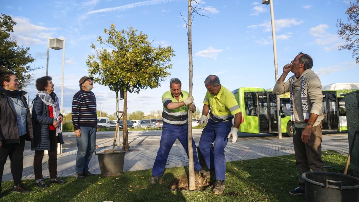Plantación de un nuevo ginkgo en Miraflores y concentración al cumplirse 15 años del accidente nuclear de Fukushima