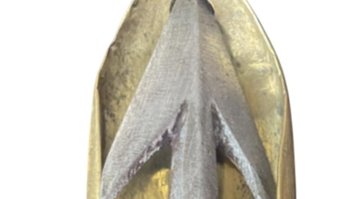 A pesar de las dudas, el objeto sigue despertando un enorme interés científico