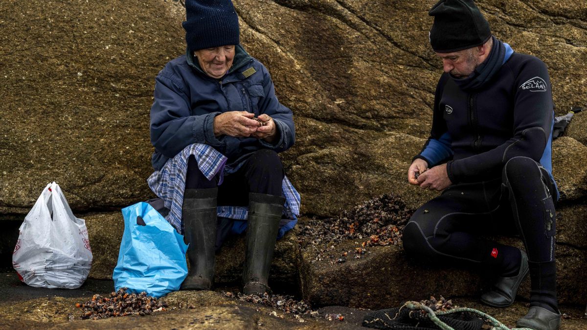Percebeiros en O Roncudo