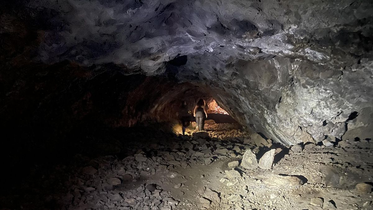 Visita de personal técnico a uno de los tubos volcánicos situados en el entorno del Parque Arqueológico del Tendal, en San Andrés y Sauces.