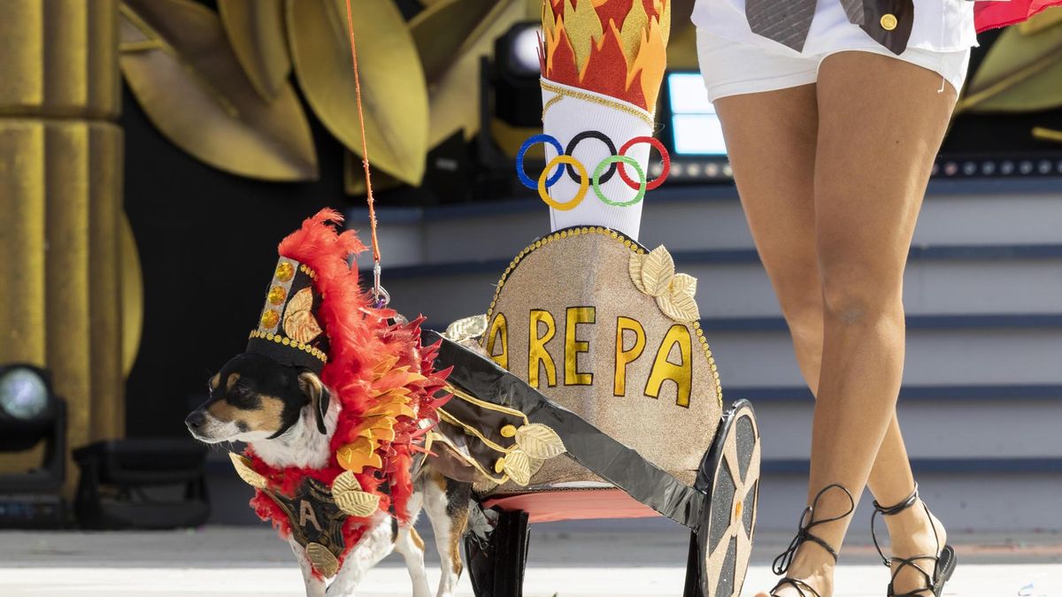 Las mascotas toman el parque de Santa Catalina en el Carnaval Canino de Las Palmas de Gran Canaria. Tercer premio para "Arepa", con el diseño «Desde Olimpia a Santa Catalina, Arepa la llama olímpica vigila». EFE/ Quique Curbelo