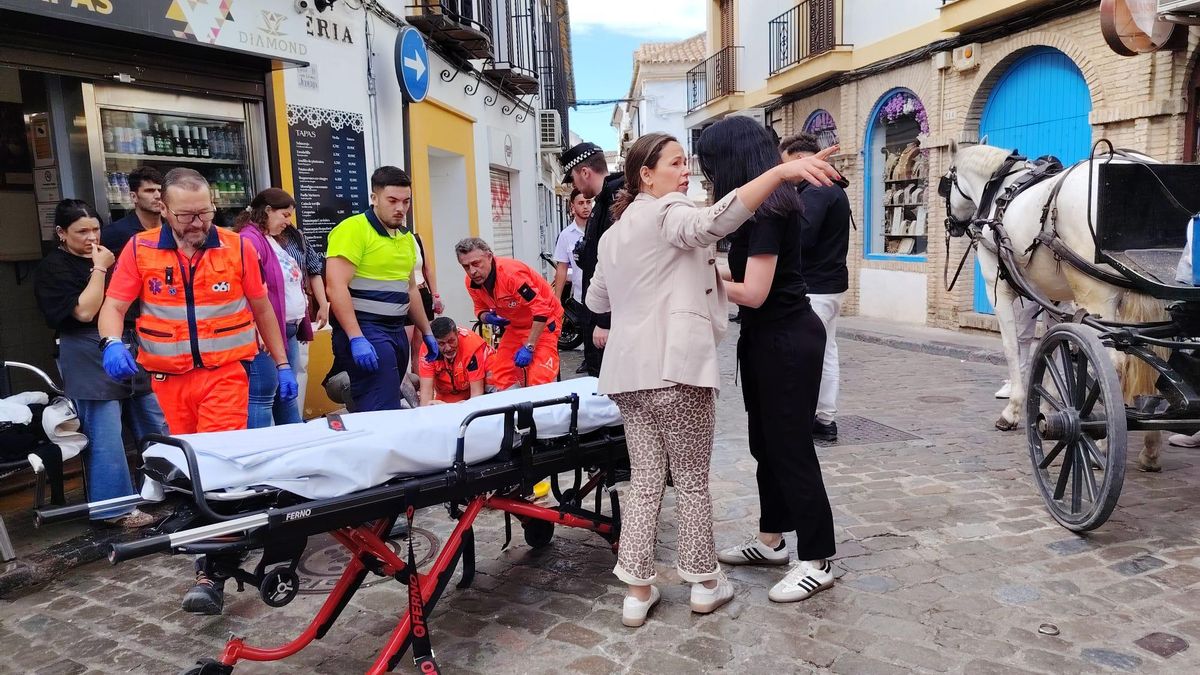 Un hombre herido tras ser golpeado por un caballo en el Casco Histórico de Córdoba