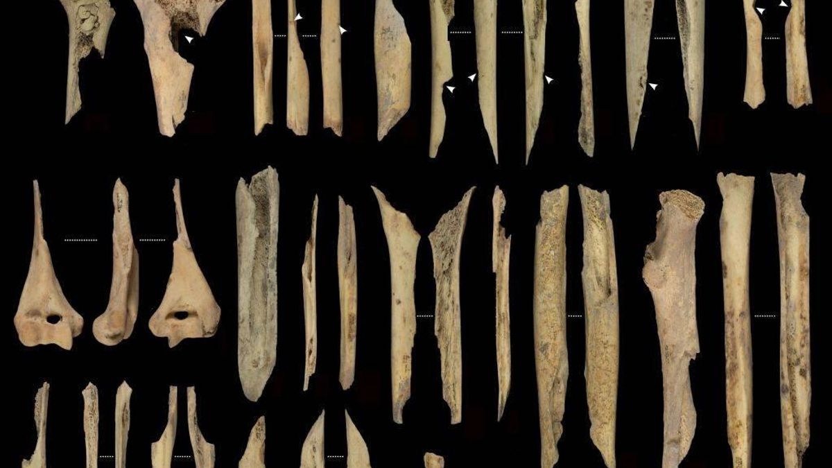 Despellejados, descarnados, cocinados y comidos: los restos de un nuevo caso de canibalismo durante el Neolítico en Atapuerca