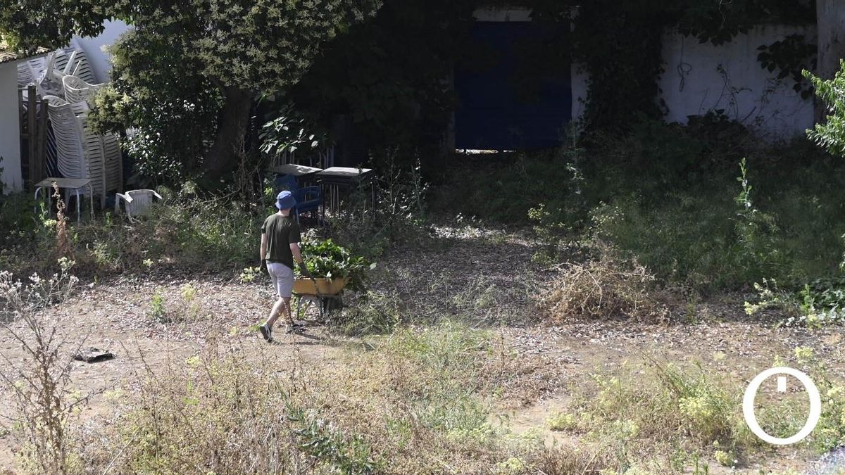 Comienzan los trabajos de desbroce en el Cine Delicias