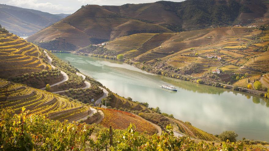 El valle del Douro en otoño: terrazas, vino y paisajes de postal