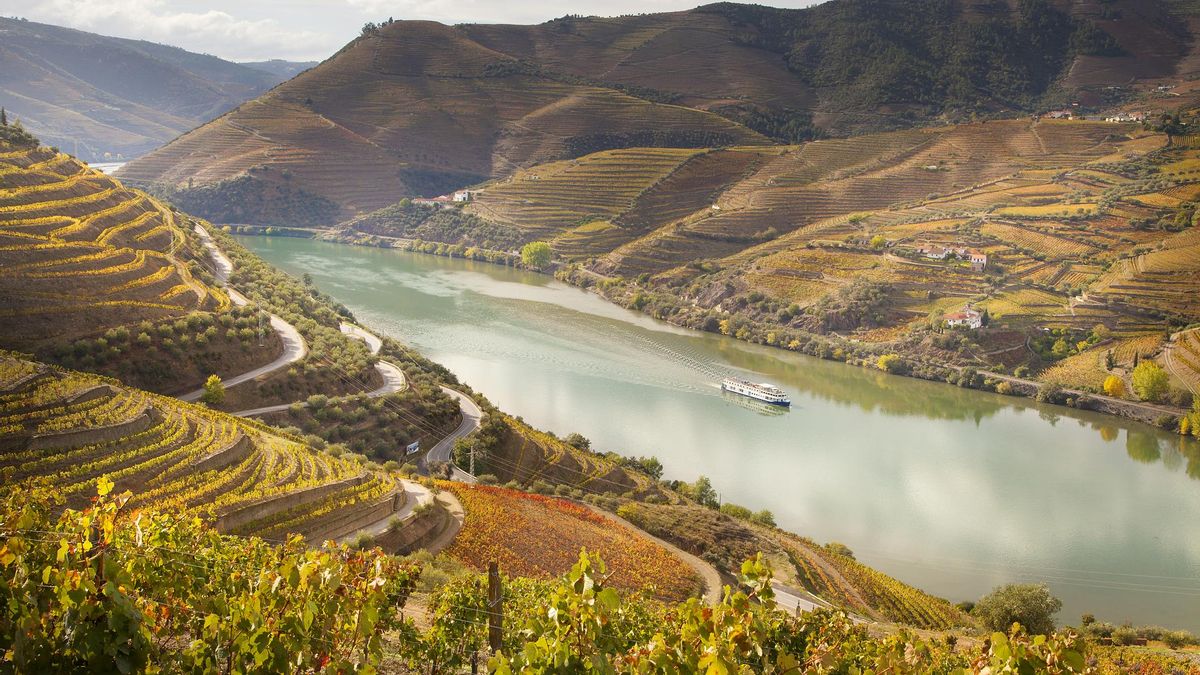 El valle del Douro en otoño: terrazas, vino y paisajes de postal