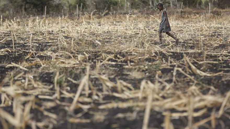 Mezquitas contra las tradiciones para acabar con la ablación en Guinea