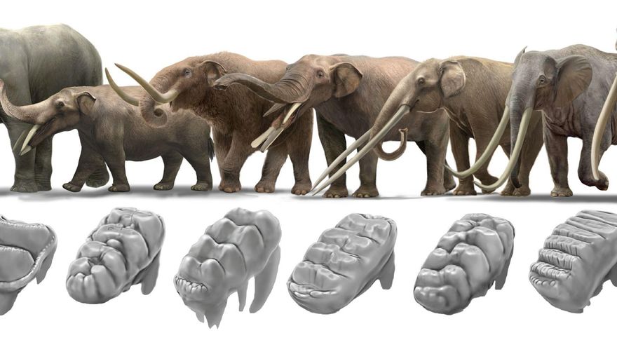 Ilustración de Oscar Sanisidro (Universidad de Alcalá)