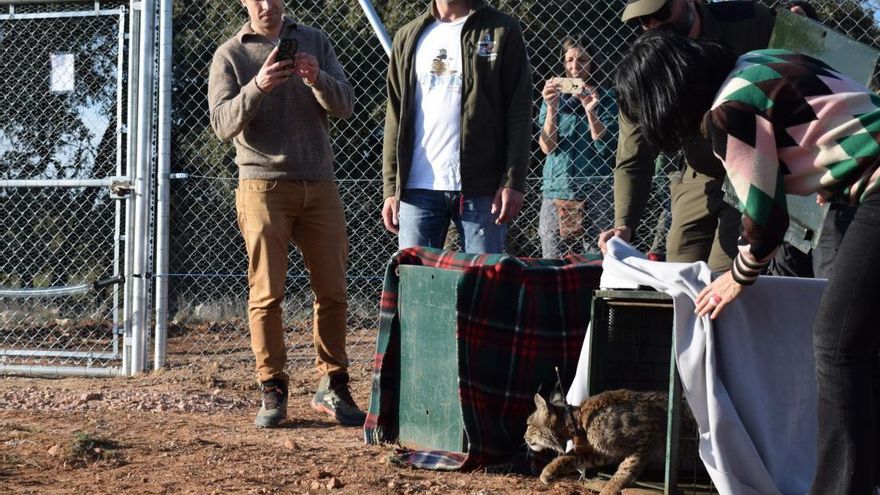 El Centro de Recuperación de Fauna Silvestre de Cuenca será una realidad en 2026