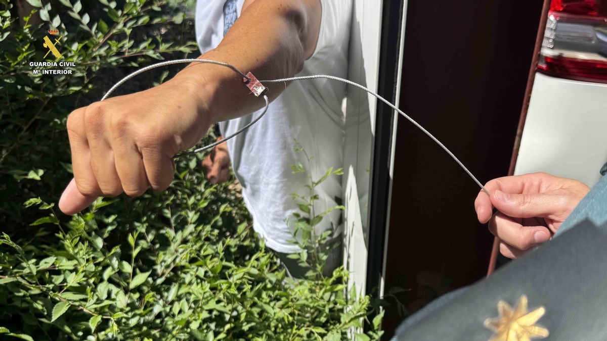 Pillado un cazador furtivo colocando lazos metálicos en una zona protegida en Albelda