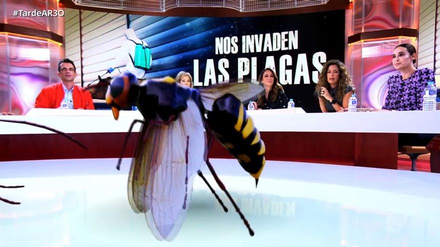 Avispa por realidad aumentada en 'TardeAR'