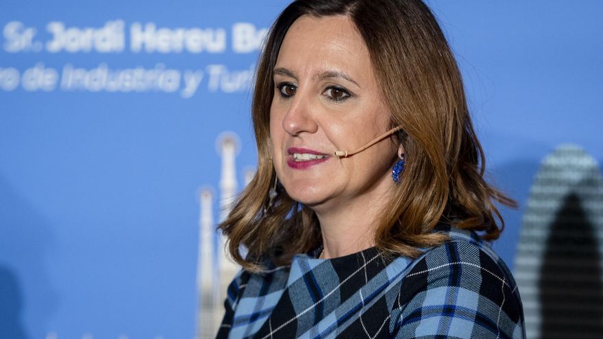 El Síndic de Greuges pide a la alcaldesa de València que aclare su dedicación a la universidad que privatizó