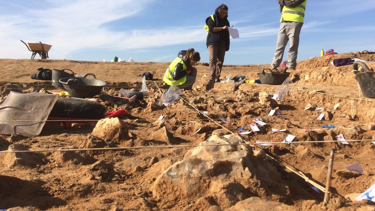 Foto recurso de un área de excavación arqueológica