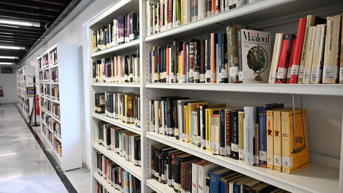 La piedra y la luz de una bibliotecaria