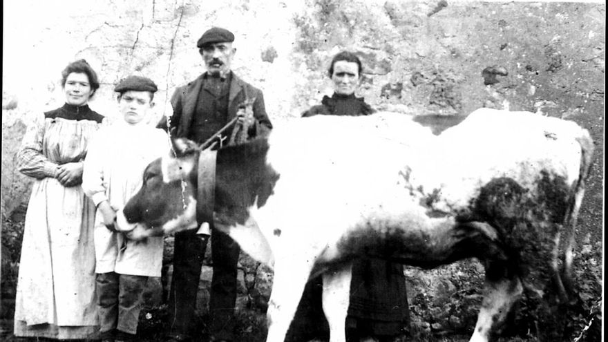 Los Sindicatos Agrícolas Montañeses (SAM): un movimiento cooperativista ganadero de base confesional