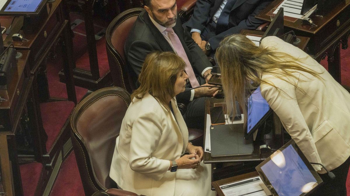 El Senado aprobó en pleno debate por la Ley de Glaciares.