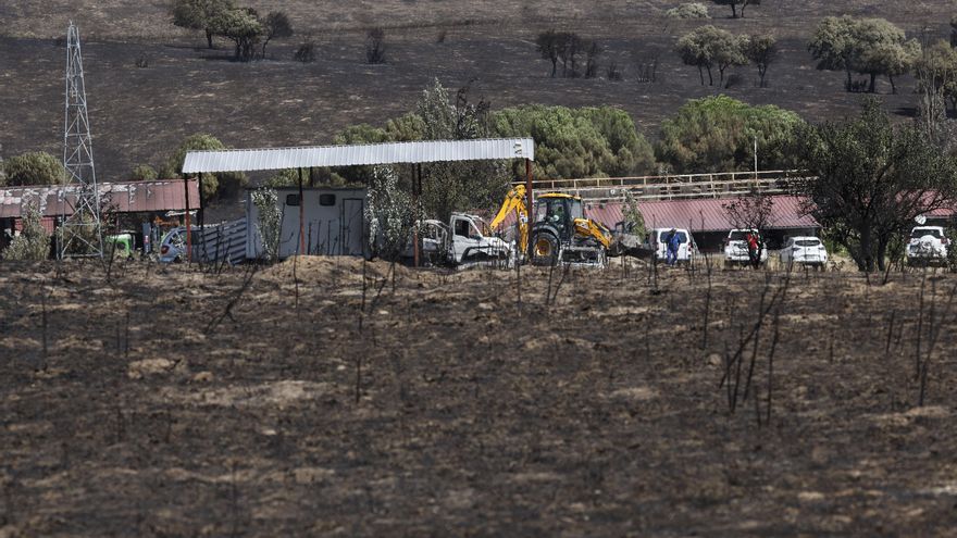 Los animales, las otras víctimas de la ola de incendios que asola España