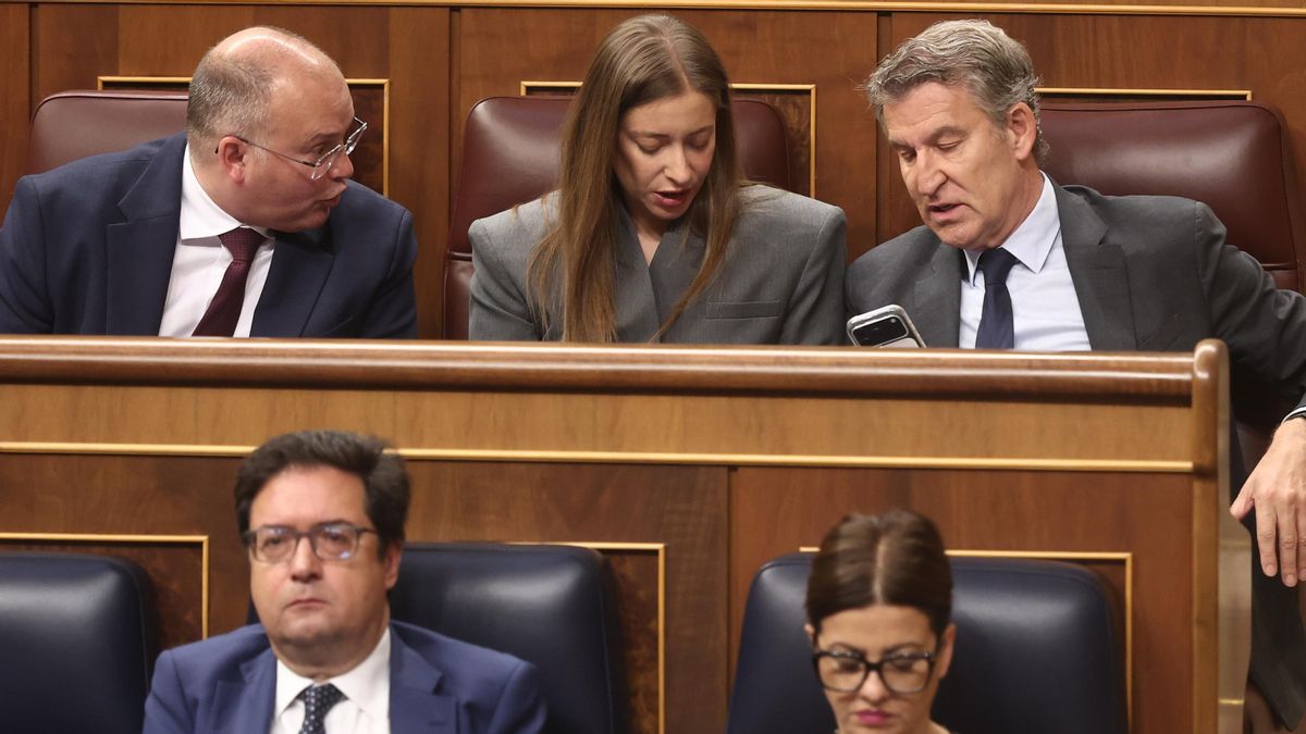 El líder del PP, Alberto Núñez Feijóo, la portavoz en el Congreso, Ester Muñoz, y el secretario general, Miguel Tellado, durante la sesión de control al Gobierno.