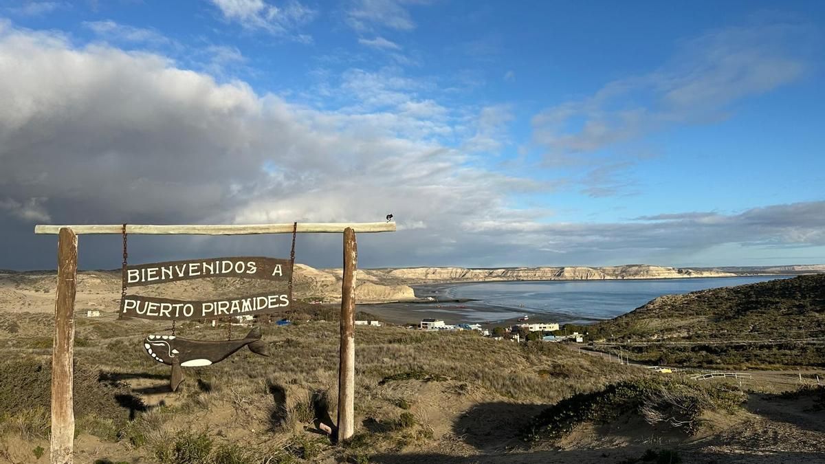 Un fin de invierno en la costa patagónica: Avistaje de ballenas en Península de Valdés y los secretos del parque natural