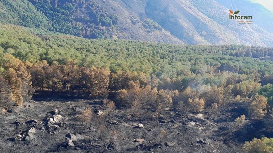 El incendio de Peñalba de la Sierra se da por controlado y continúan las labores de extinción