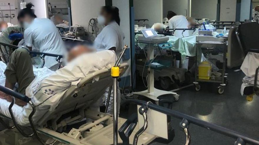 Cinco días con malaria en un caos de urgencias: "Desde el primero querían pasarme a planta, pero no había camas"