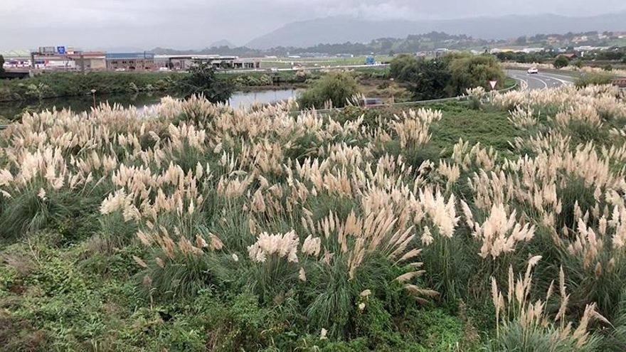 Las ayudas fomentarán la actualización de la base de datos de Áreas Degradadas de Cantabria