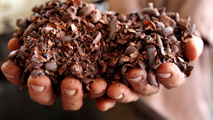 Jóvenes indígenas de Panamá crean un sistema sostenible para el cultivo de cacao