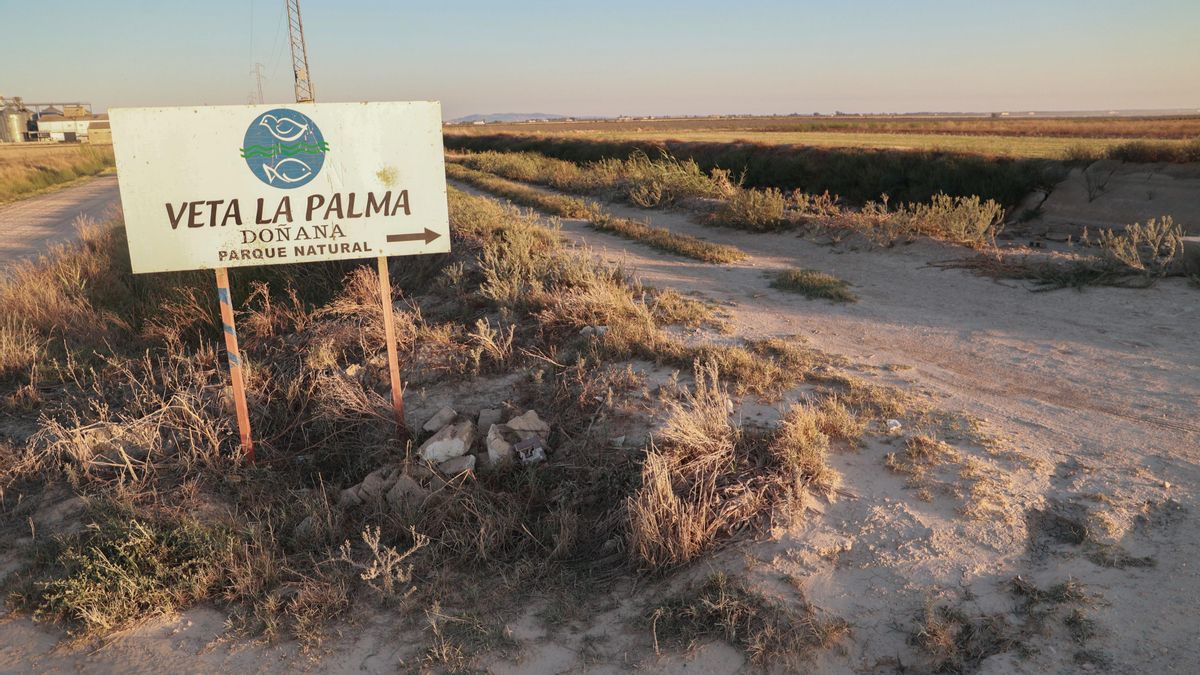 Archivo - Entrada a la finca "Veta La Palma" que la Junta de Andalucía va a comprar para ampliar el terreno de Doñana. A 12 de septiembre de 2023 en La Puebla del Río en Sevilla, (Andalucía, España).