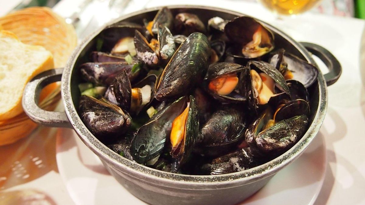 Frescos o en conserva: cuatro formas de cocinar mejillones para disfrutar de todo su sabor