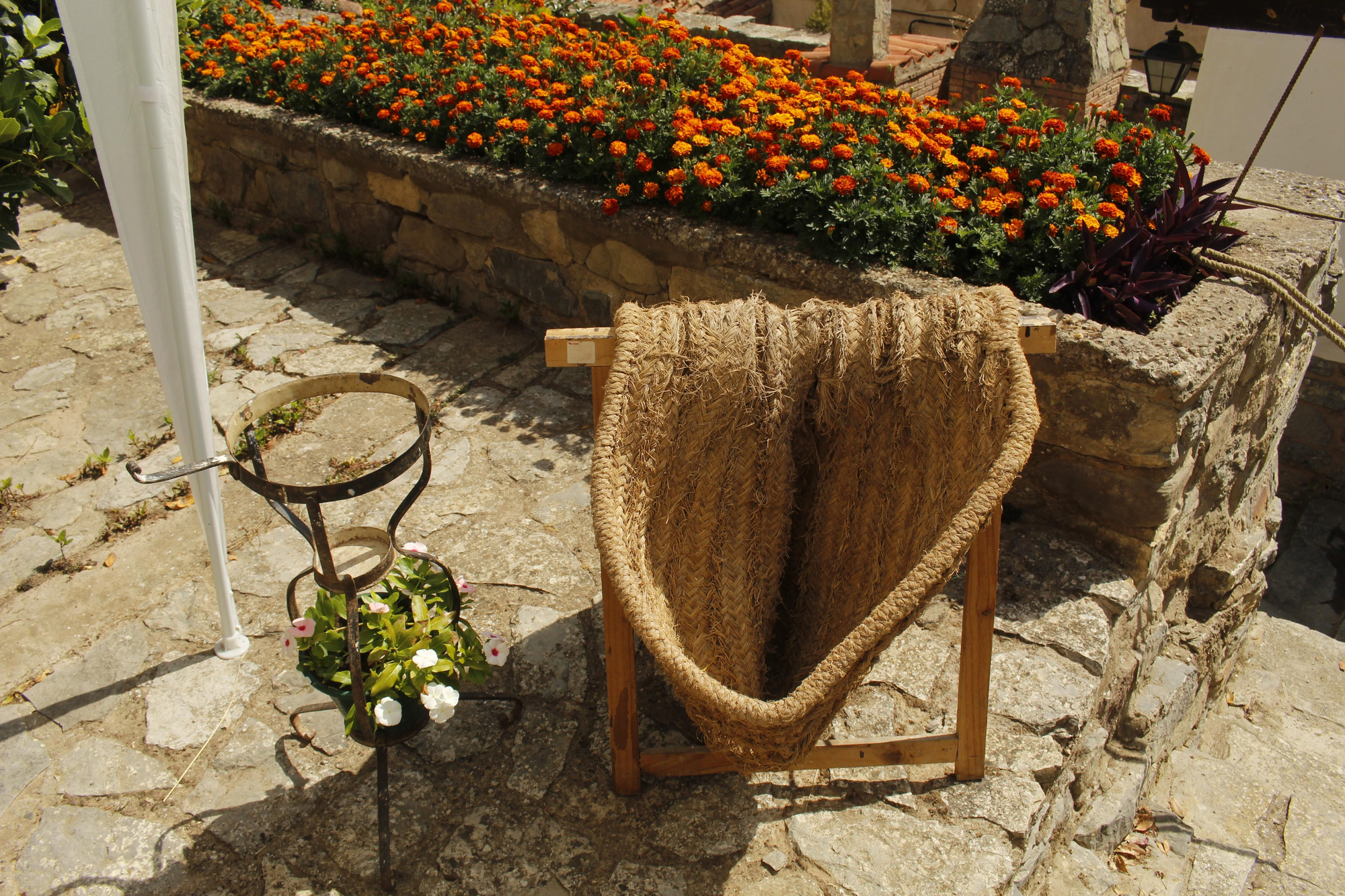 Día del Camero Viejo en Terroba