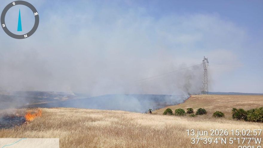 Controlado un incendio forestal en Palma del Río tras la rápida intervención del Infoca