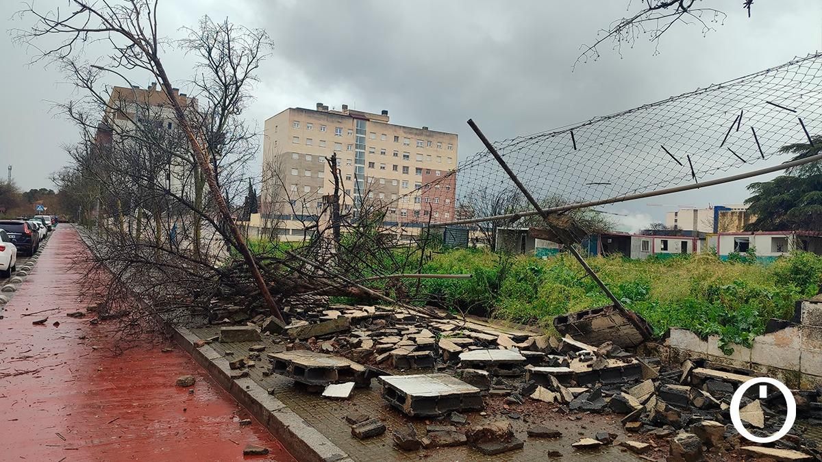 Los efectos del viento y la lluvia en Córdoba