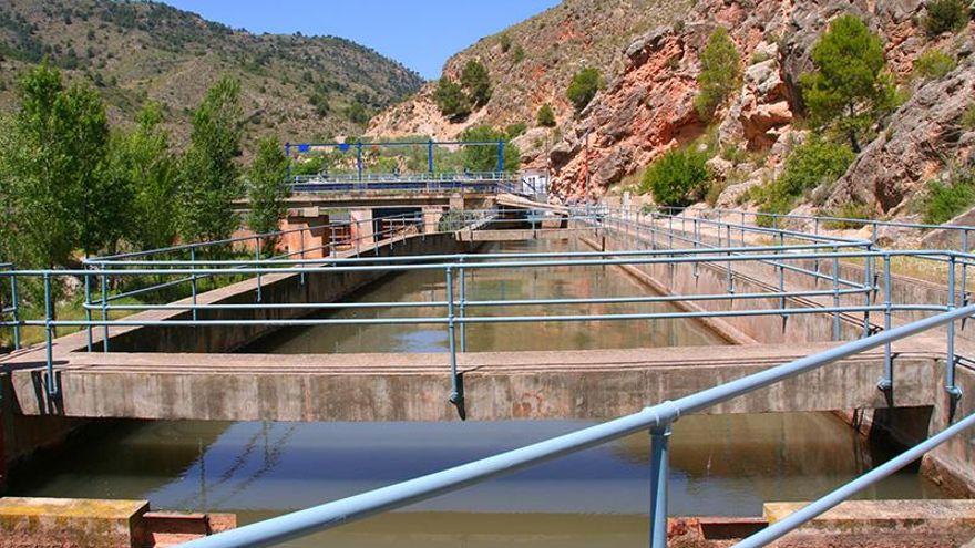“Que nos echen una mano”: la silenciosa y “sufrida” sequía para los regantes del río Segura que no reciben agua del Tajo
