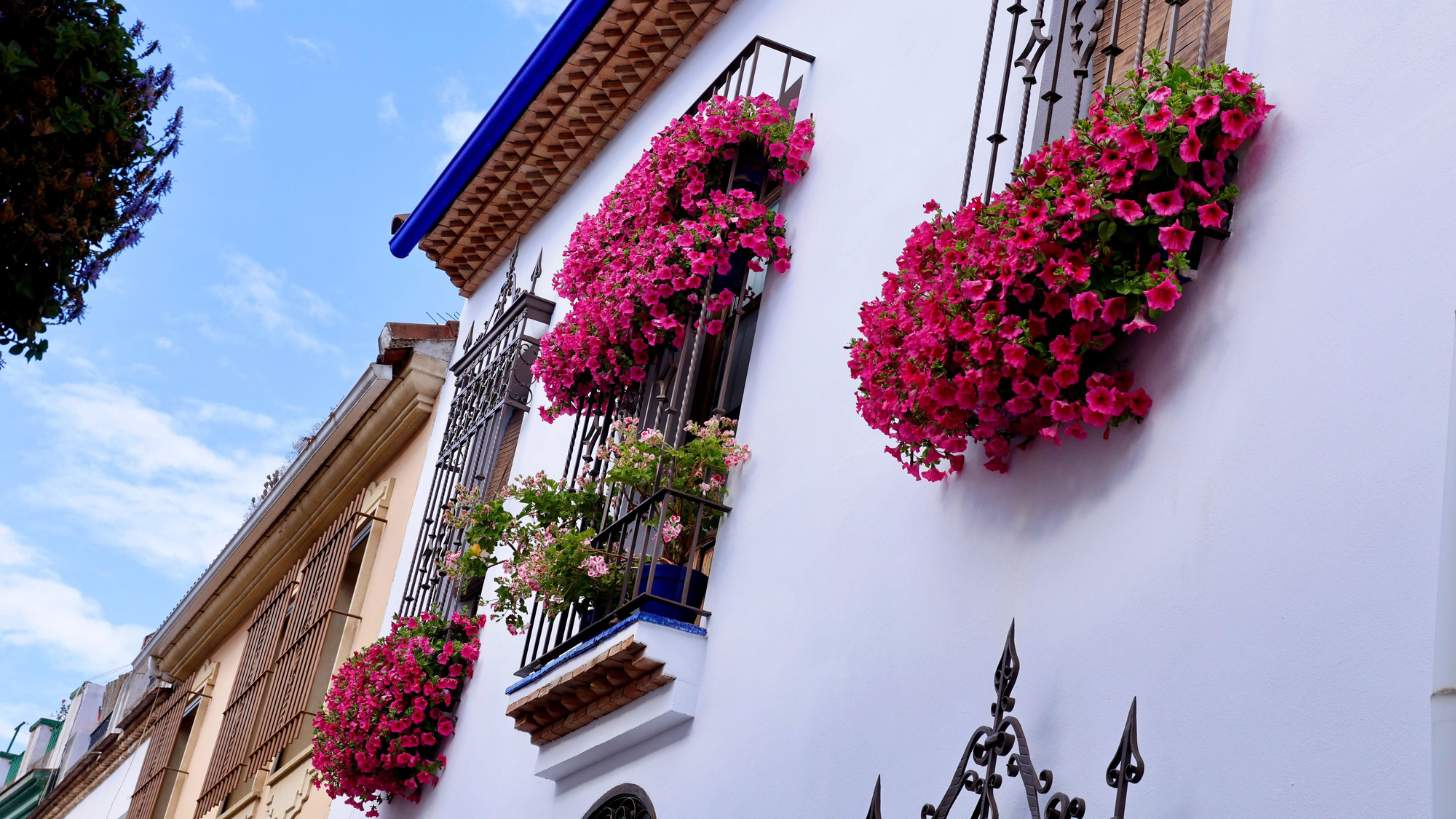 Segundo premio de Rejas y Balcones en Pastora, 2