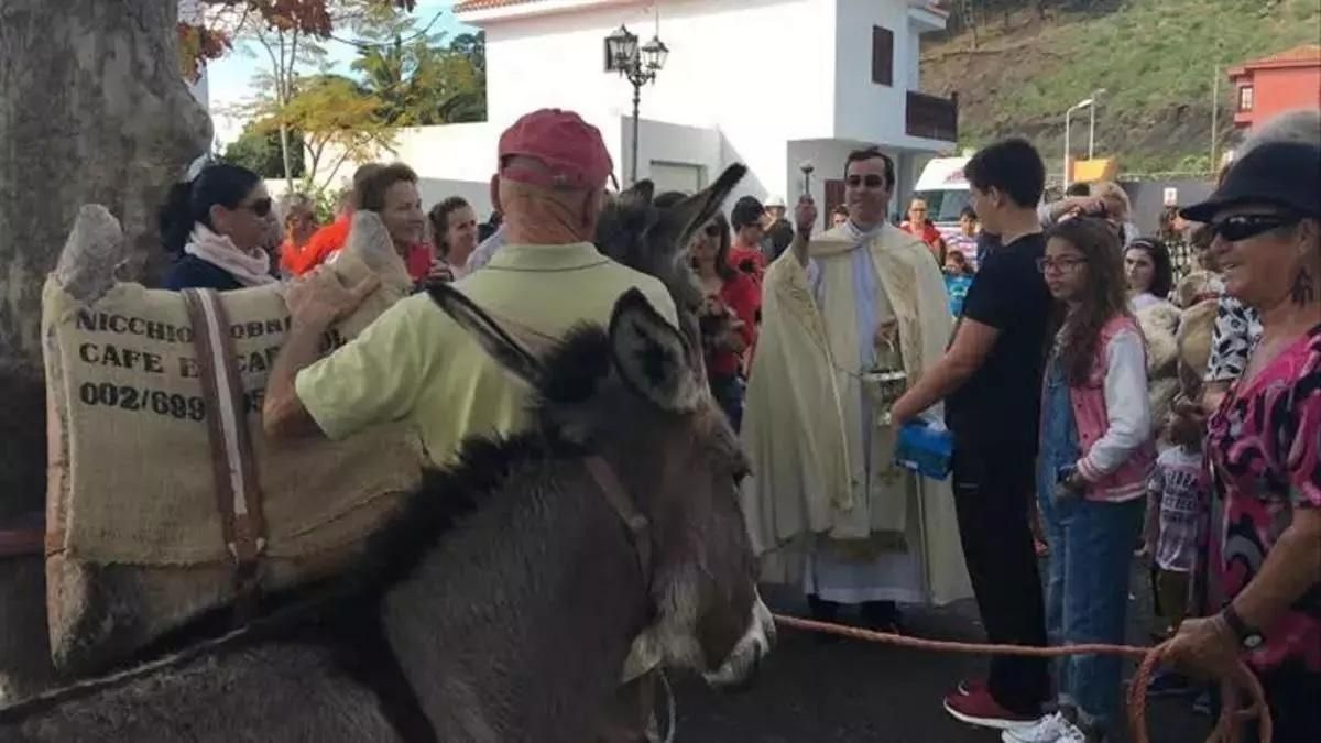 Fuencaliente celebra las fiestas de San Antonio Abad con un programa que une tradición, música y comunidad