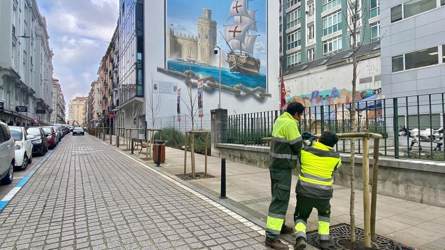 Sustitución de arces por avellanos en la calle Peña Herbosa de Santander