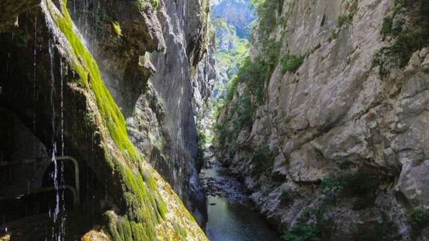 Eduardo Margareto / ICAL Ruta del Cares