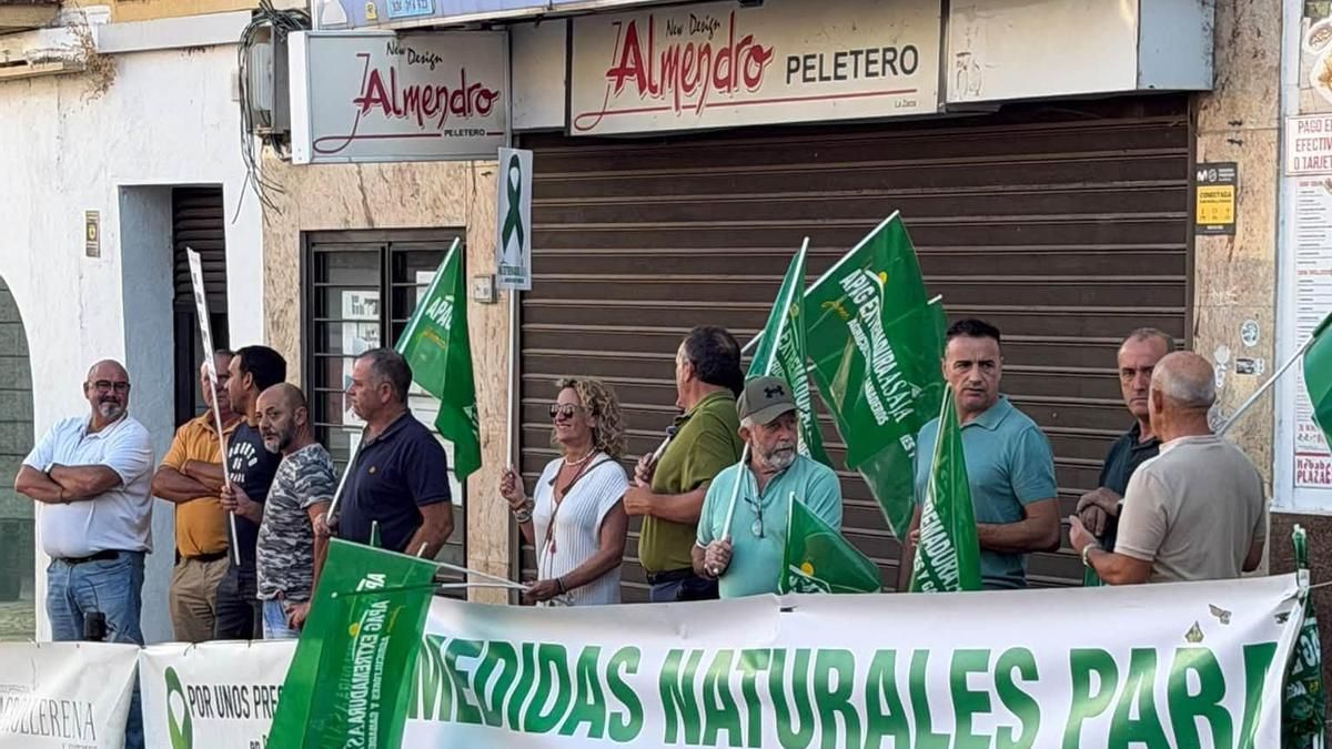 Cerealistas extremeños se movilizan en Mérida tras caer el precio del trigo a niveles de hace 40 años