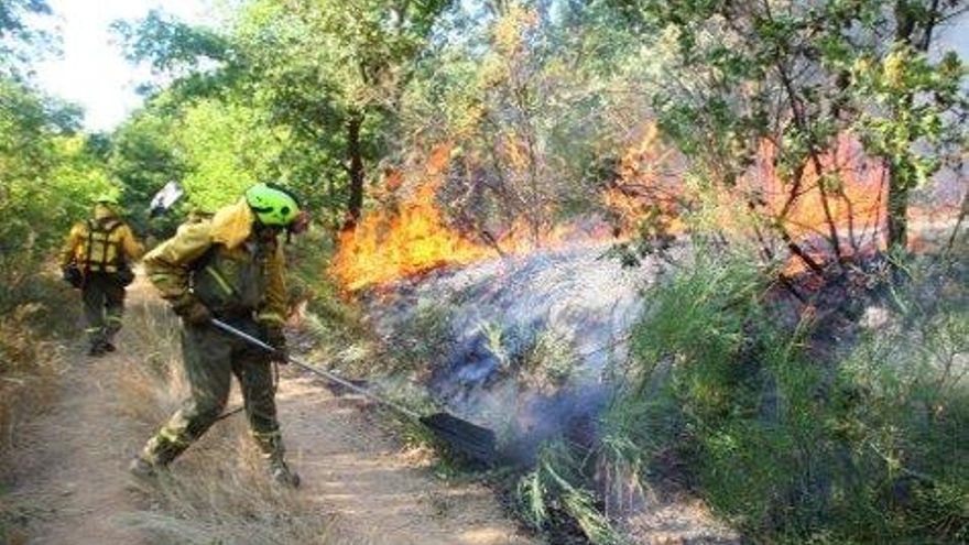 César Sánchez / ICAL Incendio en la localidad de San Juan de Paluezas, en el término municipal de Borrenes