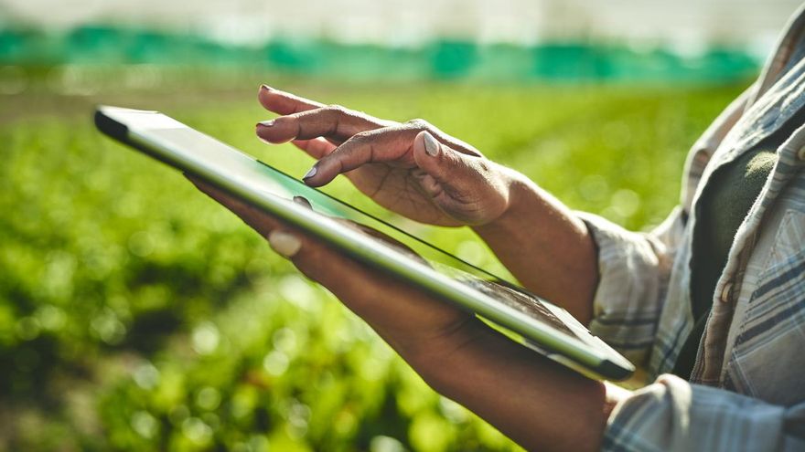 Una trabajadora del campo.