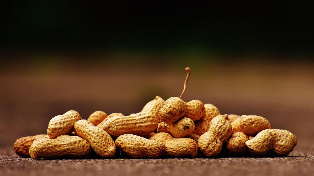 cacahuetes