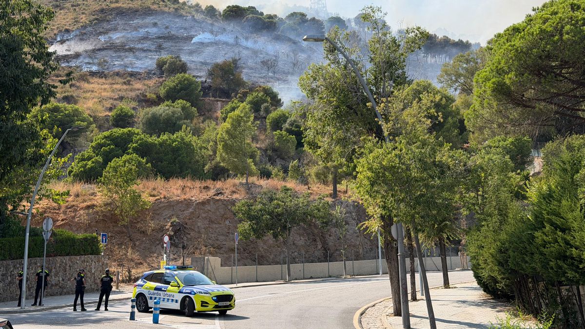 Un incendio forestal quema el parque natural de Collserola entre Barcelona y Esplugues