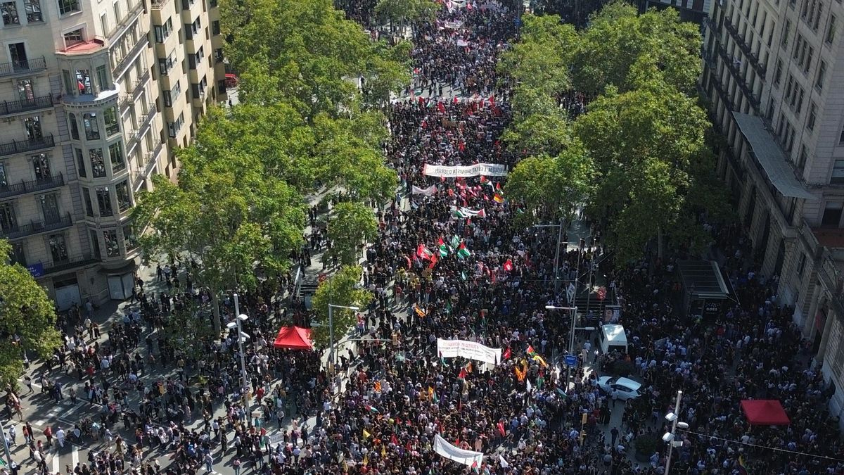 Metabolizar políticamente la impotencia sobre Gaza