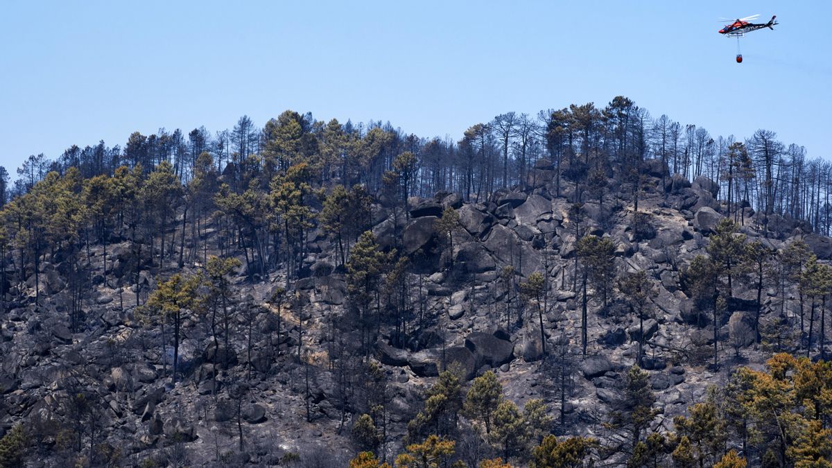 Los incendios de Ávila y Madrid, "contenidos" pero con "ciertas partes" del Valle del Tiétar todavía activas