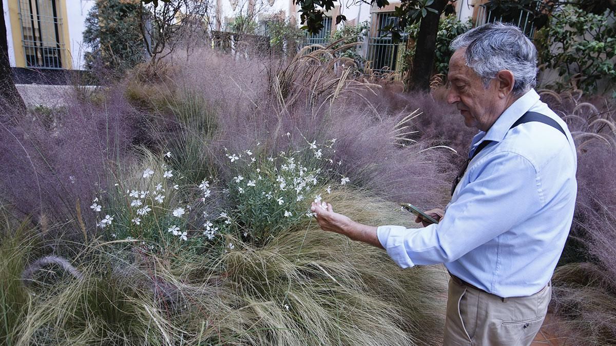 FLORA 2025 - Jardín sin tiempo' (Patio del Reloj de la Diputación)