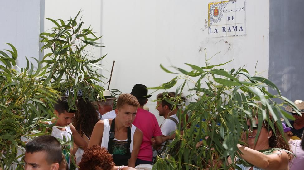 Fiestas de La Rama de Agaete 2015 (ALEJANDRO RAMOS)