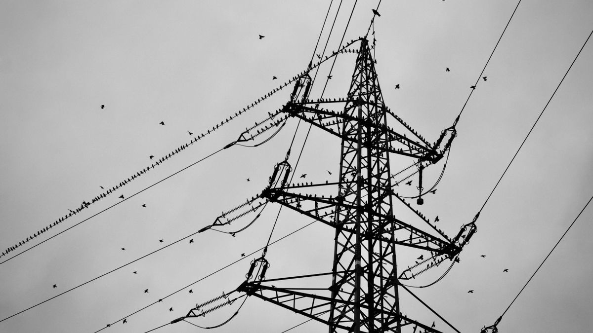 La electricidad mantiene su recorrido mientras nada lo altera